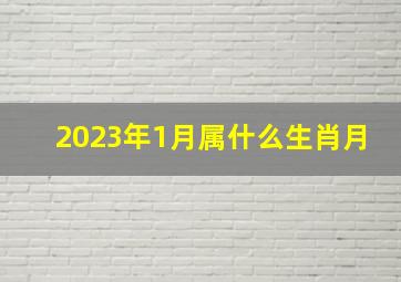 2023年1月属什么生肖月,2023年1月21日属什么生肖