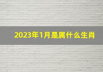 2023年1月是属什么生肖,2023年1月8日属什么生肖