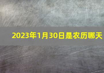 2023年1月30日是农历哪天,2033年1月1日农历是多少