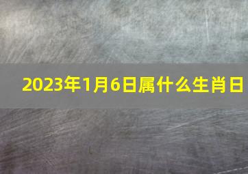 2023年1月6日属什么生肖日,2023年1月6日是打猎的黄道吉日吗2023年1月6日打猎好不好