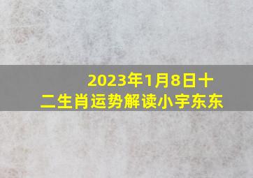 2023年1月8日十二生肖运势解读小宇东东,2023年2月8日十二生肖运势解析