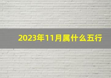 2023年11月属什么五行,2023年11月21日五行穿衣