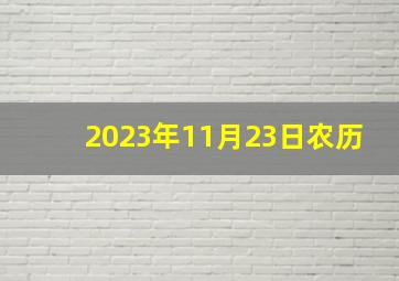 2023年11月23日农历,2023年全年黄道吉日一览表