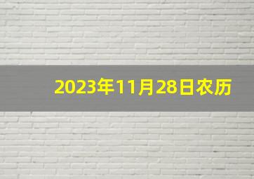 2023年11月28日农历,2023年11月适合生肖属兔人的结婚黄道吉日