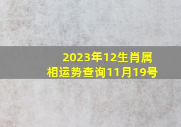 2023年12生肖属相运势查询11月19号,2023年11月3日12生肖运势今日最旺特吉生肖查询