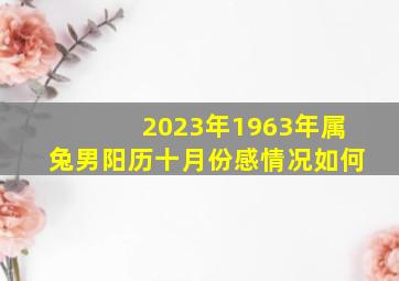 2023年1963年属兔男阳历十月份感情况如何,属兔2023年运程及运势详解2023兔年属兔人本命年每月运势