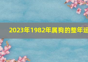 2023年1982年属狗的整年运,1982年属狗人2023年运势女性巳时出生好吗