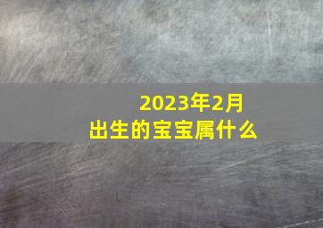 2023年2月出生的宝宝属什么,属兔2023年2月25日出生的男宝宝名字