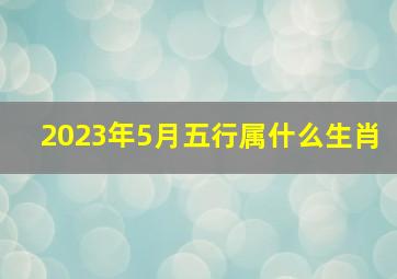 2023年5月五行属什么生肖,阴历：二零二三年四月初五（阳历：2023年5月23日）出生的男宝宝取名