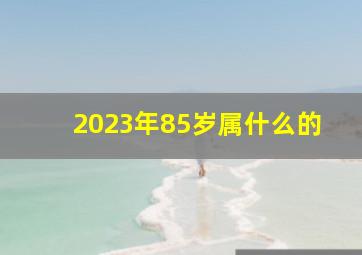 2023年85岁属什么的,87年属兔的2023年多大了属兔2023年岁数表