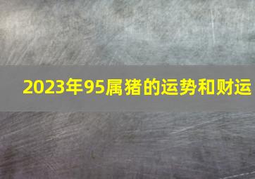 2023年95属猪的运势和财运,属猪2023年运程及运势详解2023年属猪人全年每月运势