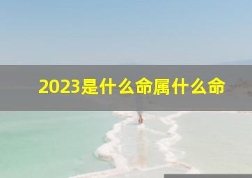 2023是什么命属什么命,2023年是什么年什么命属什么属兔的五行是什么