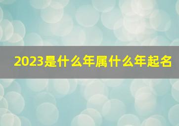 2023是什么年属什么年起名,男孩起名2023属兔