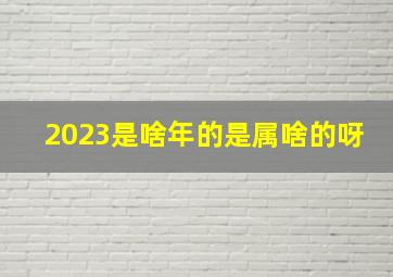 2023是啥年的是属啥的呀,2023年是什么生肖年啊