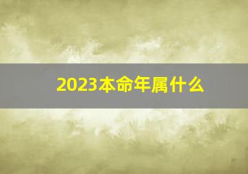 2023本命年属什么,2023是属兔的本命年吗2023年属兔人运势如何