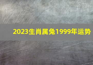 2023生肖属兔1999年运势,24岁1999年出生的属兔男命2023年下半年运气如何运势详解