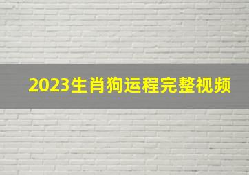 2023生肖狗运程完整视频,82年的女狗在2023年的运势怎么样