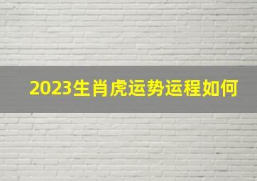 2023生肖虎运势运程如何,属虎的人2023年运程如何