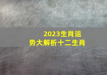 2023生肖运势大解析十二生肖,2023年12生肖属相运势排行榜你列位第几