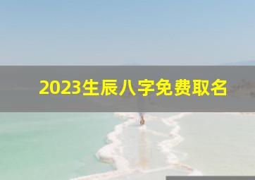 2023生辰八字免费取名,2023年4月16日出生的男孩名字生辰八字取吉祥高分好名