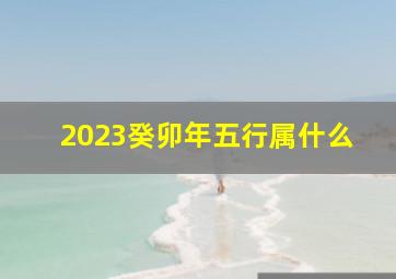 2023癸卯年五行属什么,2023癸卯年五行属什么缺什么