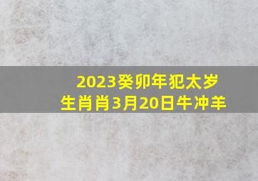 2023癸卯年犯太岁生肖肖3月20日牛冲羊,2023年犯太岁哪些属相