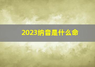 2023纳音是什么命,2023年属兔的是什么命