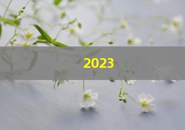 2023,2023是什么年