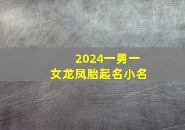 2024一男一女龙凤胎起名小名,2024一男一女龙凤胎起名