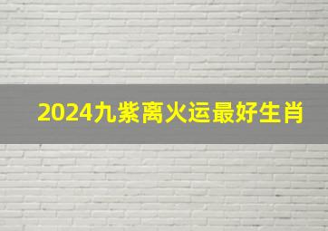 2024九紫离火运最好生肖,2024九紫离火运生肖羊