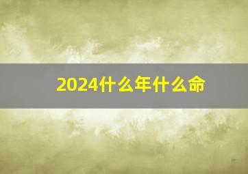 2024什么年什么命,2024什么年什么命属