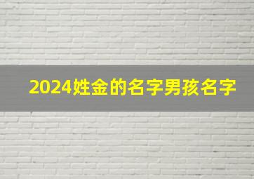 2024姓金的名字男孩名字,2024年出生男孩姓金取名字