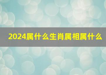 2024属什么生肖属相属什么,出生年份之：2024年五行属什么