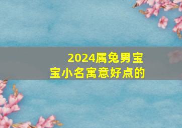 2024属兔男宝宝小名寓意好点的