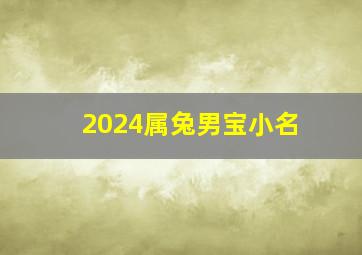 2024属兔男宝小名