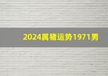 2024属猪运势1971男,属猪人2024年运势及运程