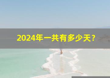 2024年一共有多少天？