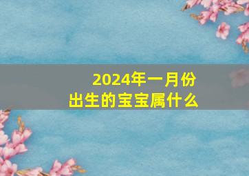 2024年一月份出生的宝宝属什么,2024年1月1日出生