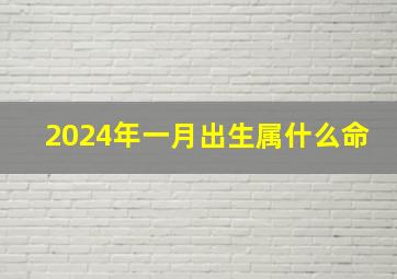 2024年一月出生属什么命,2024年出生是什么命