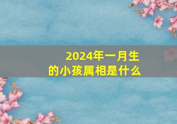 2024年一月生的小孩属相是什么,2024年几月出生的宝宝