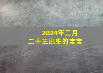 2024年二月二十三出生的宝宝,2024年2月23日是