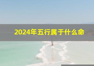 2024年五行属于什么命,2024年是什么年什么命属什么生肖属龙五行是什么