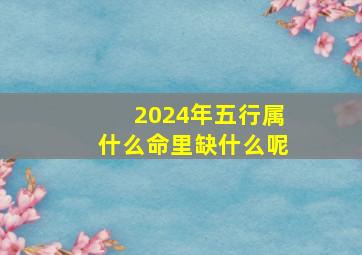 2024年五行属什么命里缺什么呢,2024年什么命五行属性