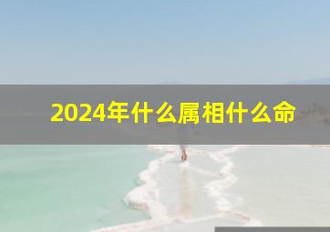 2024年什么属相什么命,2024年是什么年什么命属什么生肖属龙五行是什么