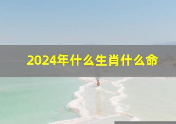 2024年什么生肖什么命,2024年什么年属什么生肖