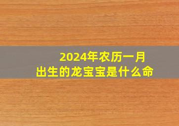 2024年农历一月出生的龙宝宝是什么命