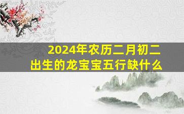 2024年农历二月初二出生的龙宝宝五行缺什么,2024年二月初二是几号