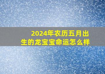 2024年农历五月出生的龙宝宝命运怎么样