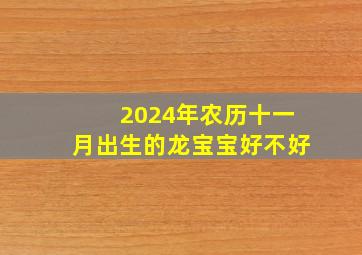 2024年农历十一月出生的龙宝宝好不好,2024年农历十一月出生的龙宝宝好不好?