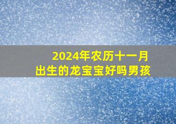 2024年农历十一月出生的龙宝宝好吗男孩,2014年农历十一月二十五怎么样